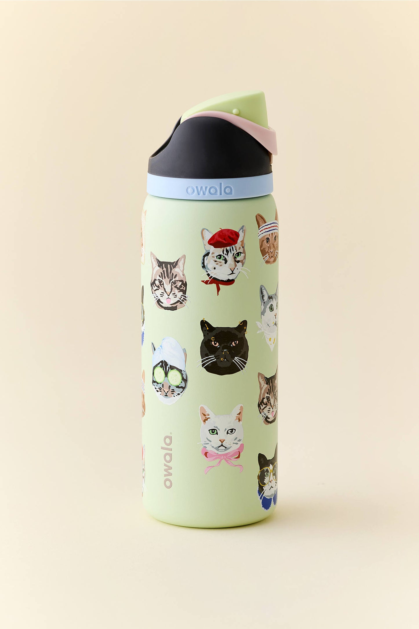 owala Cat Collage